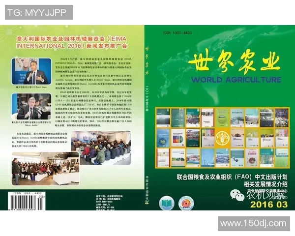 深圳乒乓球队在欧锦赛中的团队协作表现分析与启示